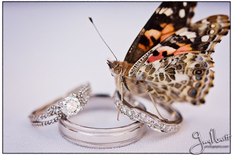 Philadelphia Wedding Photographer - Running Deer Golf Club- Gary Nevitt Photography - Olsen - 1026