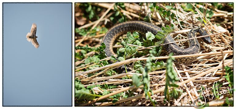 Engagement-Session-Sedgley-DIsc-Golf-Philadelphia-Gary-Nevitt-Photography-1169