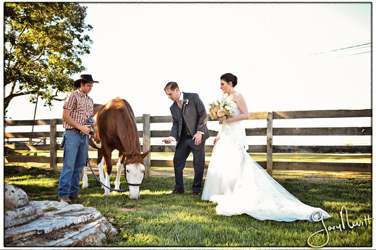 Horowitz-Farm-Wedding-Stables at Fox Chase- Photography Gary Nevitt Photography-1033