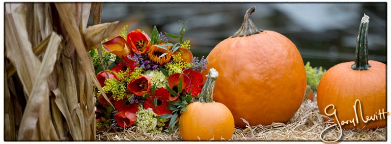 Brophy-NJ-Wedding-Jewish-124