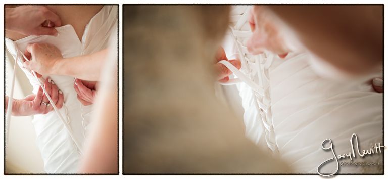 (c) Gary Nevitt Photography    www.garynevittphotography.com