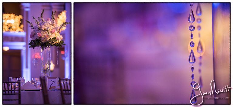 (c) Gary Nevitt Photography    www.garynevittphotography.com