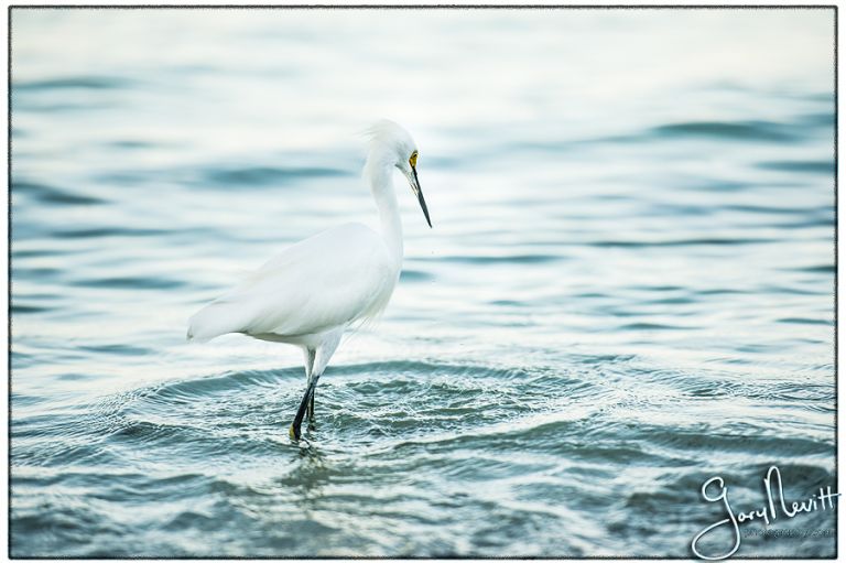 Demidovich-Wedding-FL-Florida-Sand Bar-Destination-Beach-Photography Gary Nevitt Photography-1140