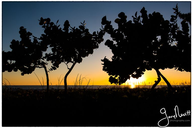Demidovich-Wedding-FL-Florida-Sand Bar-Destination-Beach-Photography Gary Nevitt Photography-1144