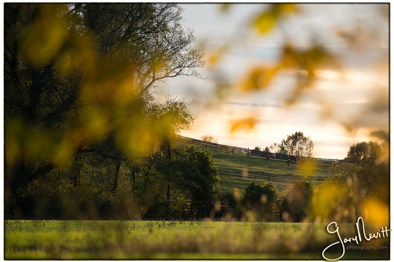 Etherington-farm-wedding-Lancaster-264