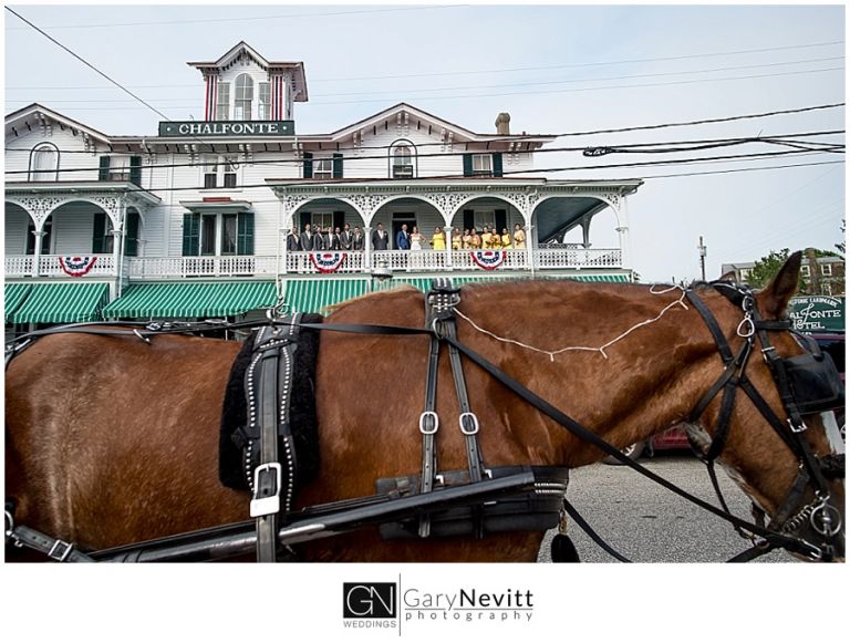 (c) Gary Nevitt Photography    www.garynevittphotography.com