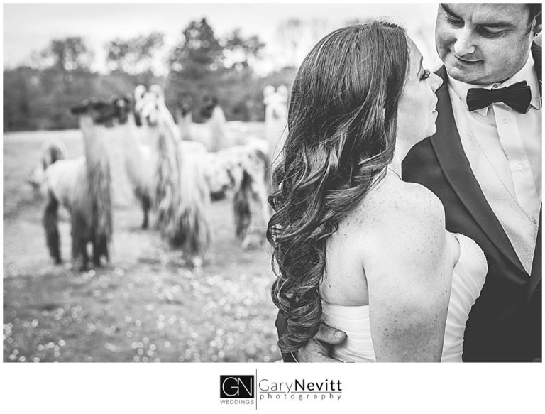 (c) Gary Nevitt Photography    www.garynevittphotography.com