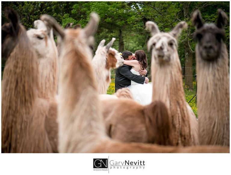 (c) Gary Nevitt Photography    www.garynevittphotography.com