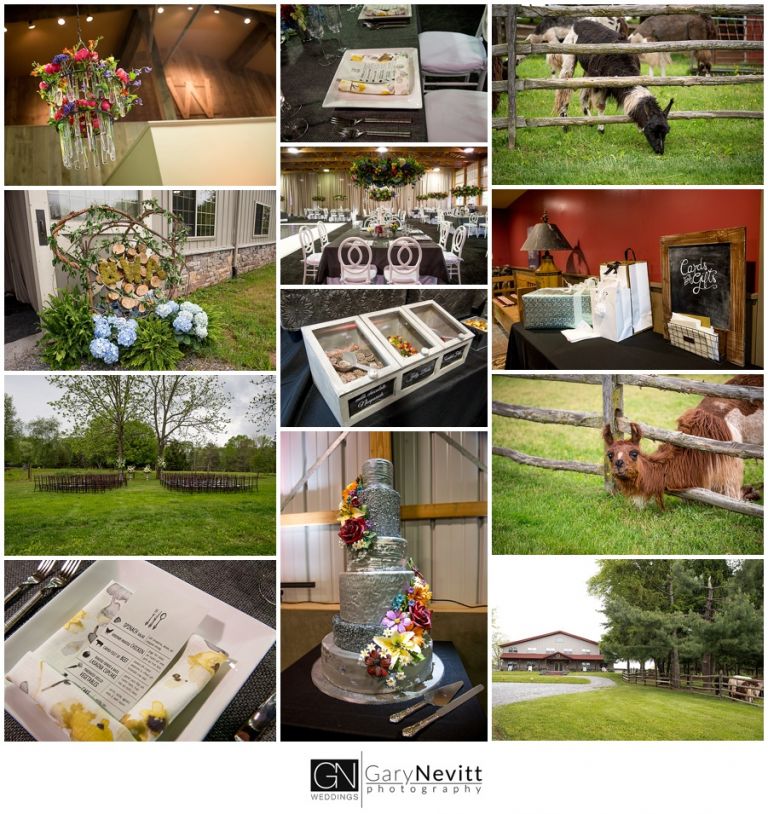 (c) Gary Nevitt Photography    www.garynevittphotography.com