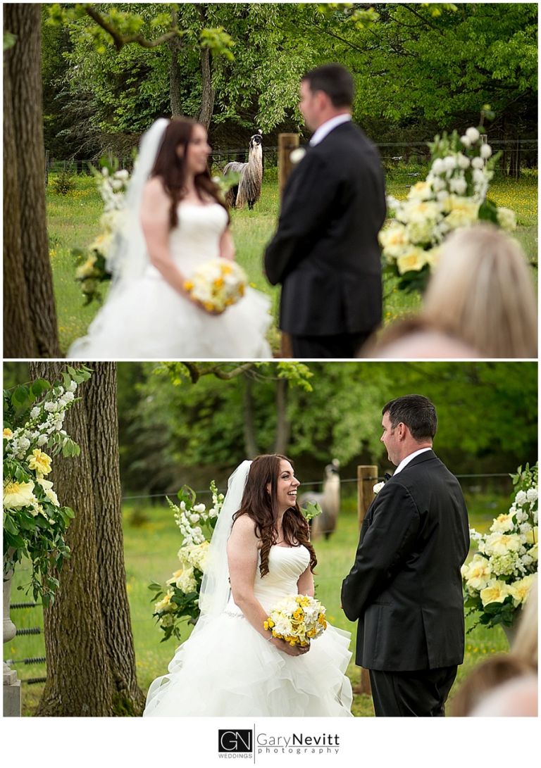 (c) Gary Nevitt Photography    www.garynevittphotography.com